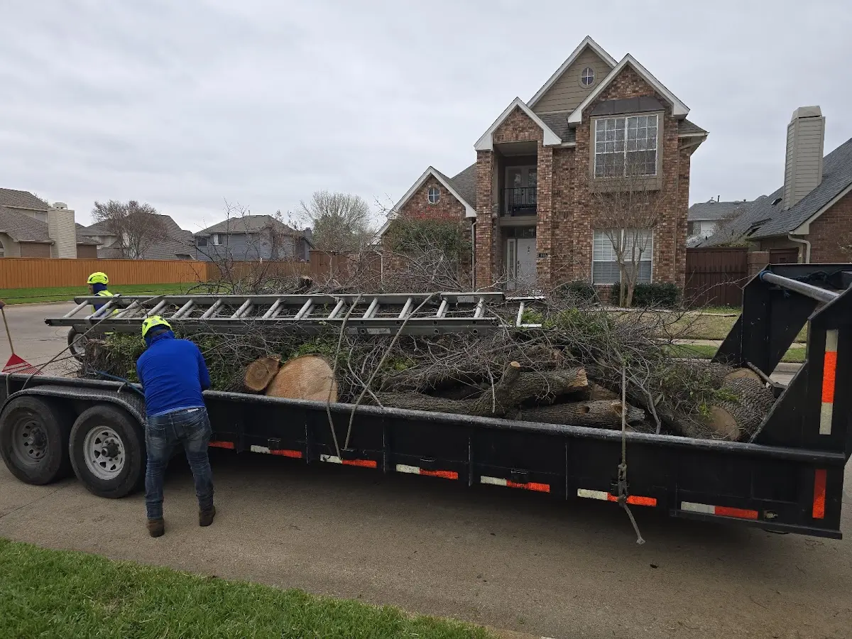Expert Lot Clearing with proper safety equipment in Pittsford